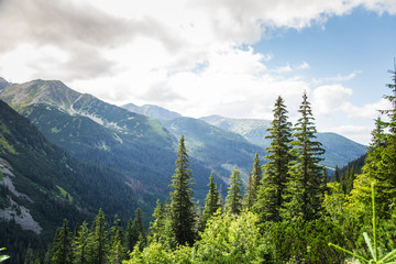 A beautiful mountain landscape with trees