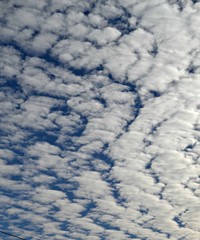 Puffy Clouds in the Skies