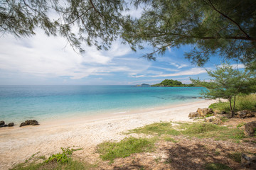 Green beach of clear blue sea with blue sky