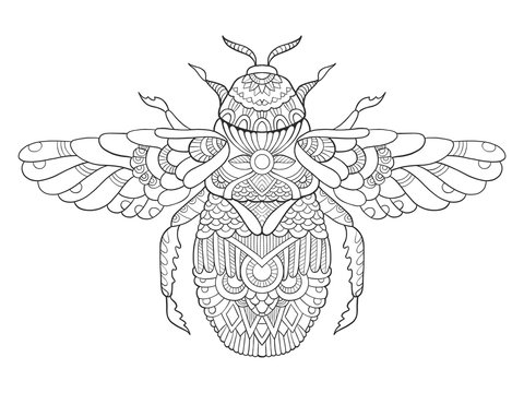 Bumblebee coloring book for adults vector