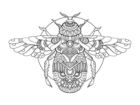 Bumblebee coloring book for adults vector