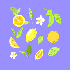 Набор с лимонами. Иллюстрация