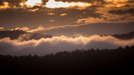 Morning fog over forest in Chiang Mai,Thailand