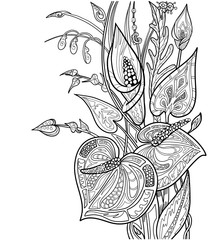 Doodle Flowers coloring book page. Black and white exotic floral bouquet with leaves for adult.