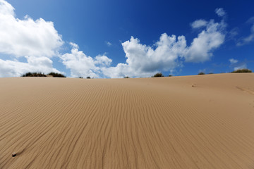 Awesome Sand Dune View at Sylt / Germany