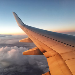 Wing of airplane