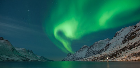 The polar lights in Norway . Ersfjord