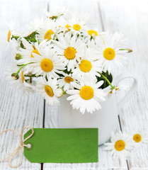 Obraz premium daisies in vase