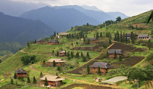 Top view of agriculture terraced rice and hut on the hill
