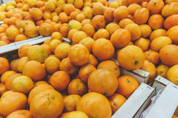 Many fruits mandarins lying in boxes in supermarket