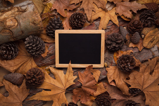 Empty blackboard into the woods, with yellow leaves and pines, free space to write down text.