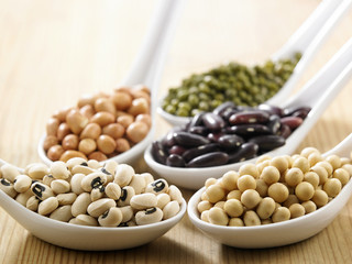 variety of beans group