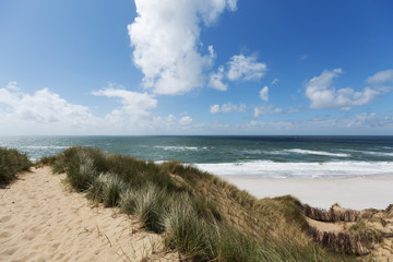Fototapeta na wymiar Beach Panorama from Sylt Dunes / Germany