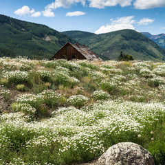 Old shed at Hwy 135 near Crested Butte, Co, USA