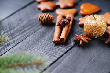 Gingerbread christmas cookies, golden apple spices and fir tree branch 