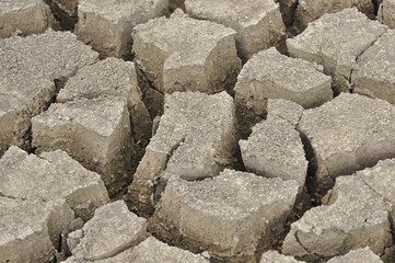 Cracked mud texture background