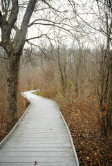 Jackson Bog State Nature Preserve