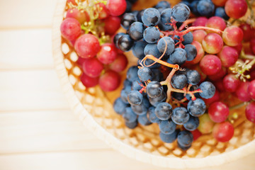 Grape in the wicker basket 