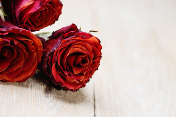 Dried roses on the wooden table 