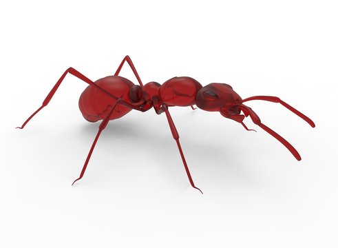 3d illustration of red jelly ant. white background isolated. icon for game web.