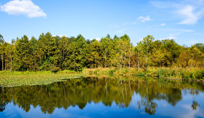 Fototapeta premium Cuyahoga Valley National Park