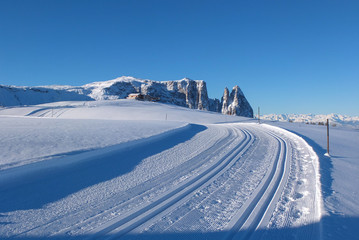 Typical wooden challet in the Dolomites