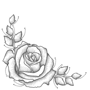 Vector illustration with one dotted rose flower and leaves in black isolated on white background. Floral elements with open rose in dotwork style for elegance tattoo design. Corner composition.