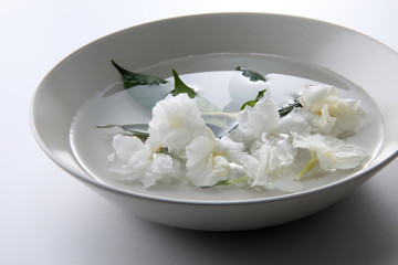 jasmine flower