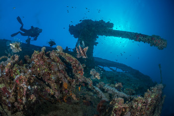 Fototapeta na wymiar Explore underwater