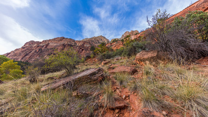 Obraz premium Beautiful sunny day during hike. EMERALD POOLS TRAIL, Zion National Park, Utah, USA