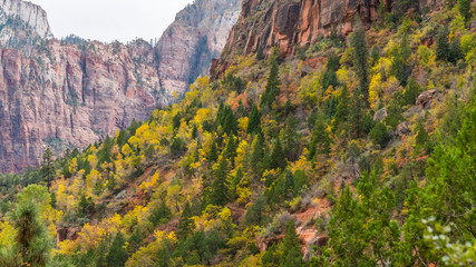 Amazing mountain landscape. EMERALD POOLS TRAIL, Zion National Park, Utah, USA