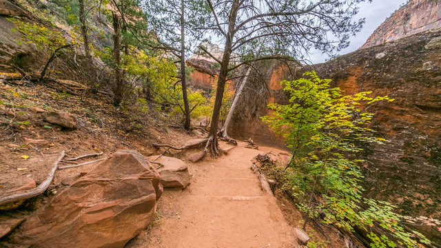 Along the way on EMERALD POOLS TRAIL, Zion National Park, Utah, USA