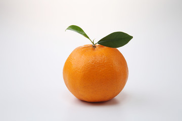 mandarin orange