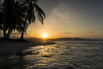 View of a beach with palm trees at sunset in Puerto Viejo de Talamanca, Costa Rica, Central America; Concept for travel in Costa Rica
