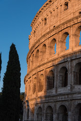 Fototapeta premium Rome Colosseum detail lit by sunset