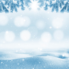 Winter bright background. Christmas landscape with snowdrifts and pine branches in the frost.
