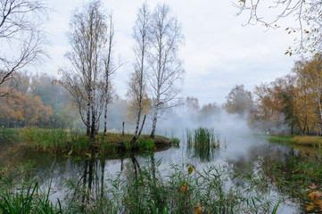 Autumn mist