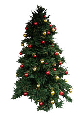 Christmas tree isolated