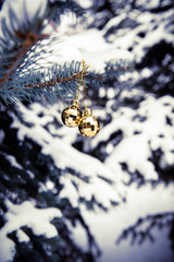 Christmas Background golden balls on Christmas tree branches