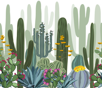 Seamless pattern with cactus, agave, and opuntia.