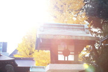 autumn Japanese shrine