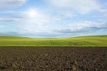 Colline verdi e cielo azzurro 4
