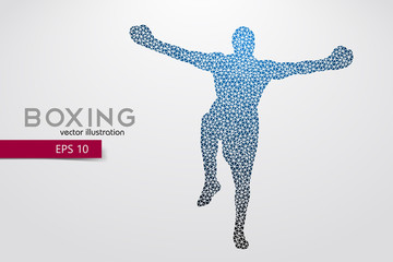Boxer from triangles.