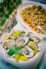 Fresh oysters and another dishes