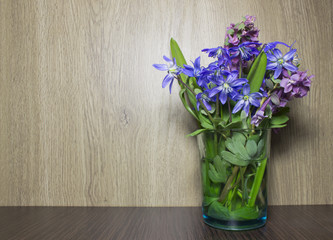 scilla flowers in the glass