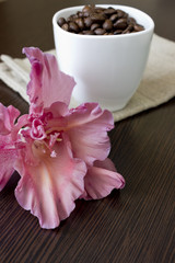 Fototapeta na wymiar Gladiolus flower and cup with coffee beans