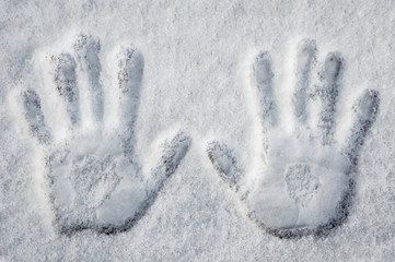 palm prints in the snow