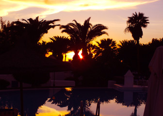 Sunset behind Palm Trees