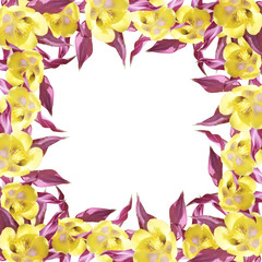 Beautiful summer background of flowers Aquilegia 