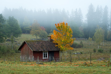 Abandoned Cottage in Autumn Colors